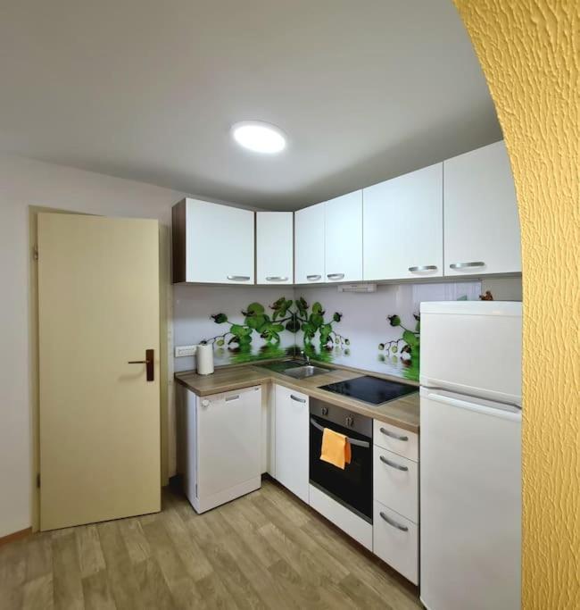 Apartma Juli Zirovnica Luaran gambar